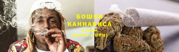 винт Дмитриев