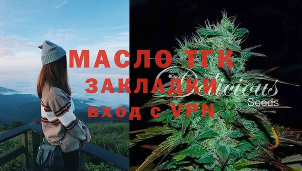винт Дмитриев
