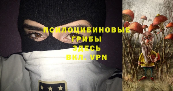винт Дмитриев