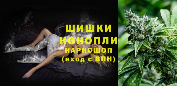 винт Дмитриев