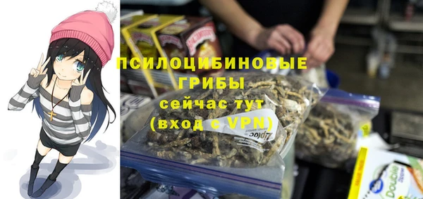 Альфа ПВП Дмитров