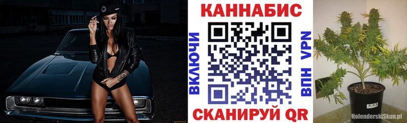 Каннабис SATIVA & INDICA  Купить где  Шлиссельбург 